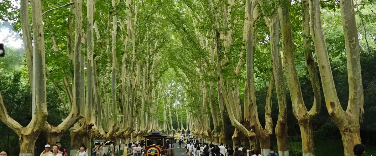 Нанкин + Уси — Нанкин + Уси за 3 дня: маршрут для студентов